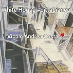White House #cittabianca