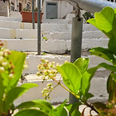 White House #cittabianca Casa vacanze